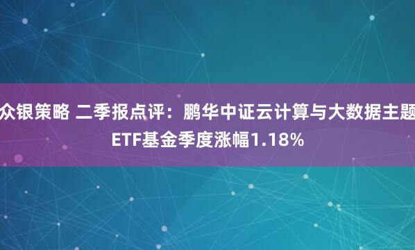 众银策略 二季报点评：鹏华中证云计算与大数据主题ETF基金季度涨幅1.18%